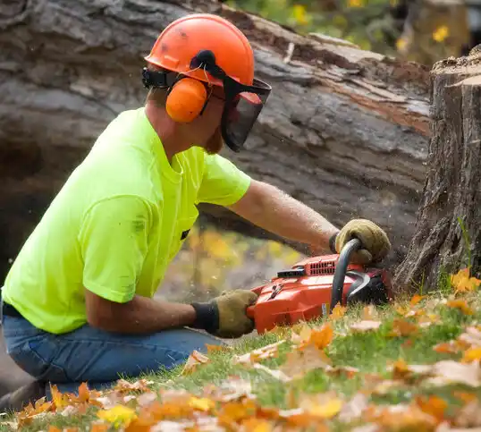 tree services Darnestown